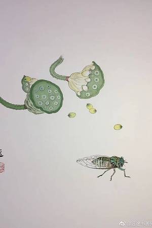 20123870734圖片