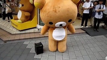 21007331440圖片