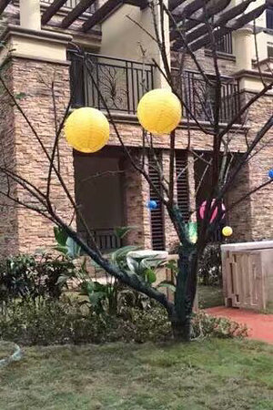 21013473007圖片