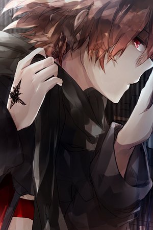 20661254399圖片