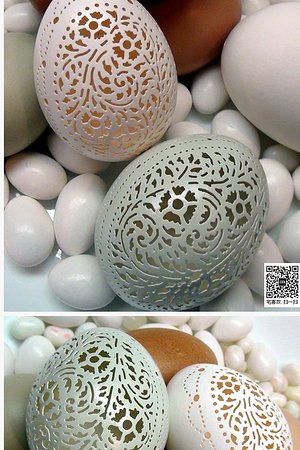 20123885069圖片