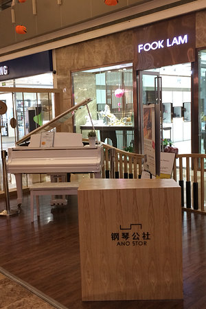 21015494491圖片
