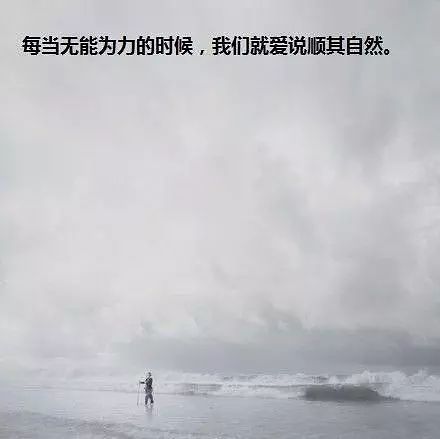 21010895565圖片