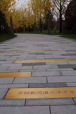 21003163486圖片