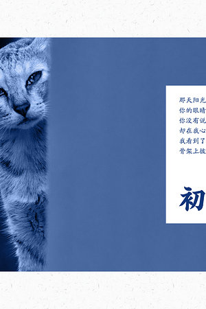 20988356785圖片