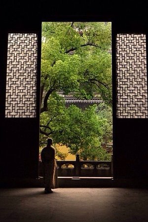 21015436338圖片