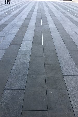 21002245876圖片