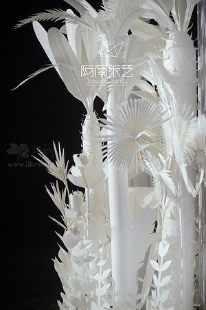 20987365362圖片