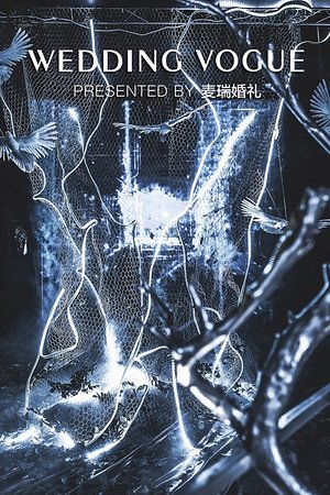 20996199789圖片
