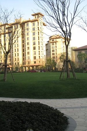 20124114704圖片