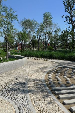 20124208924圖片
