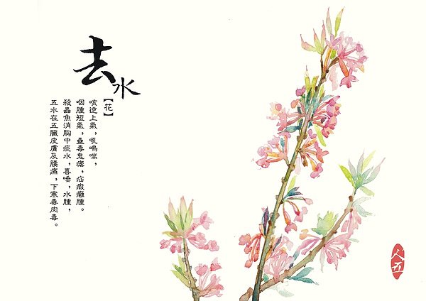 21009419451圖片