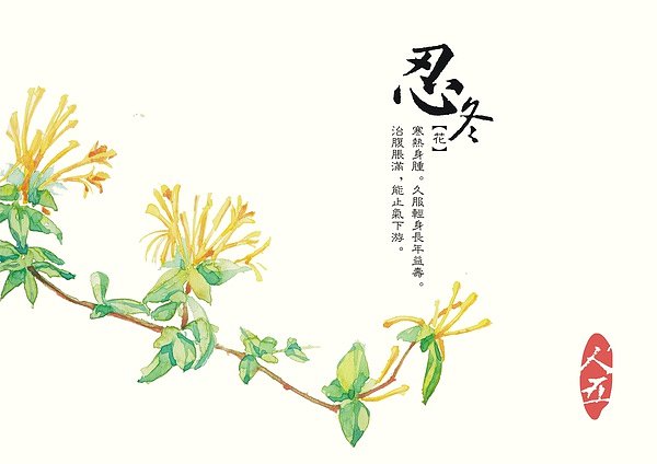 21009419440圖片