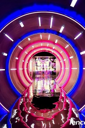 21081680554圖片