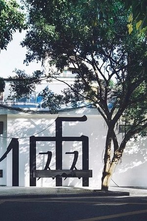 21338469705圖片