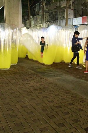 20123889385圖片