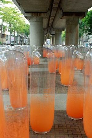 20123889405圖片
