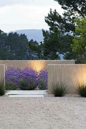 47 imágenes de jardines contemporáneos espectaculares圖片