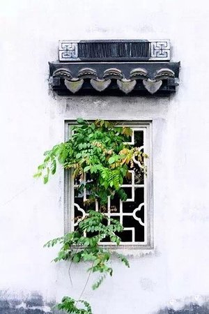 20124037468圖片