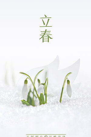 20123728214圖片