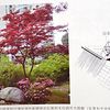景觀分析圖精選圖片3