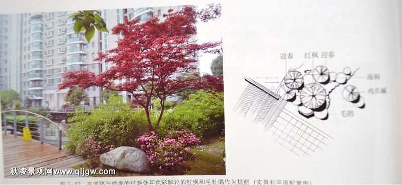 21011959459圖片