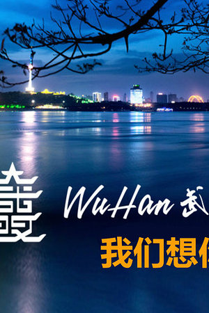 21010739803圖片
