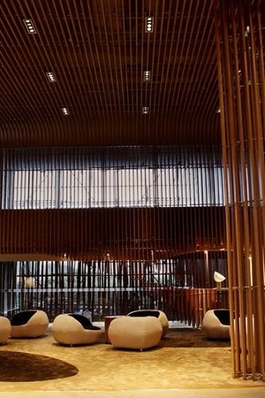 21016397956圖片