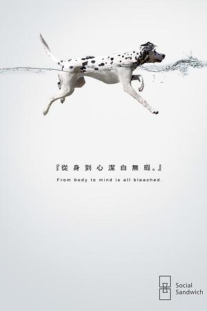 21007473155圖片