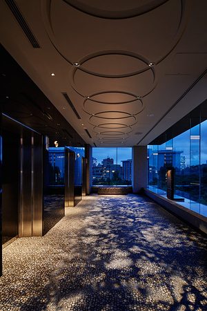 21316946524圖片