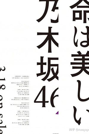 20995955935圖片