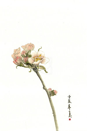 21008631921圖片