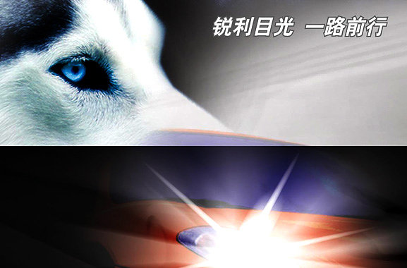 20123694909圖片