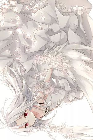 21026424972圖片