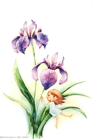 20123868455圖片