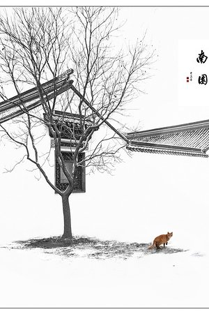 20998761132圖片