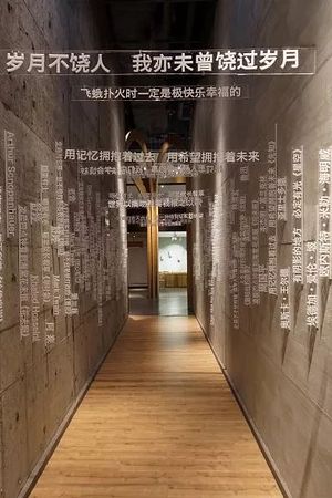 21008620595圖片