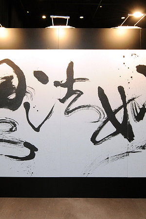 20971863051圖片