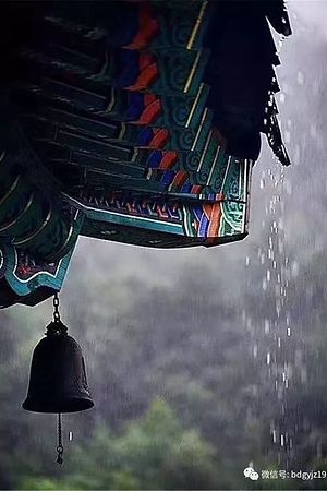 21011950837圖片
