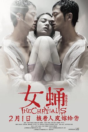 20123668665圖片