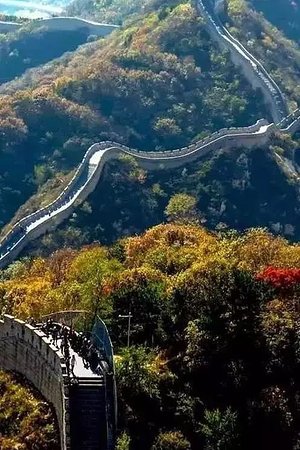 20124105776圖片
